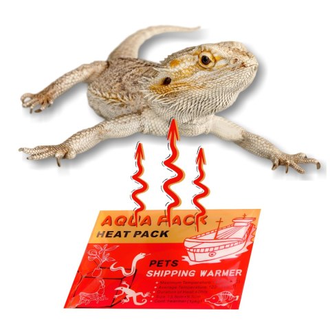 Aqua Heat Pack 'Gold' 40H x 1000 - zestaw 1000 sztuk Aqua Heat Pack 'Gold' 40H x 1000 - zestaw 1000 sztuk