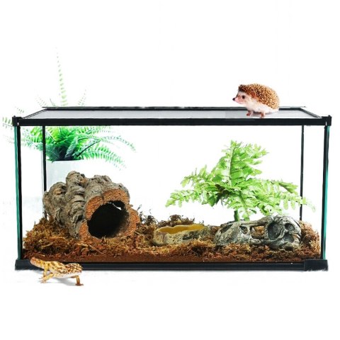 Repti-Zoo Simple Habitat - terrarium 31x31x20 Repti-Zoo Simple Habitat - terrarium 31x31x20