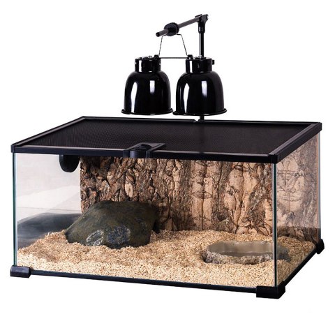 Repti-Zoo Simple Habitat - terrarium 31x31x20 Repti-Zoo Simple Habitat - terrarium 31x31x20