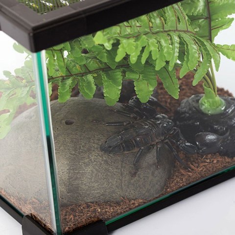 Repti-Zoo Simple Habitat - terrarium 31x31x20 Repti-Zoo Simple Habitat - terrarium 31x31x20