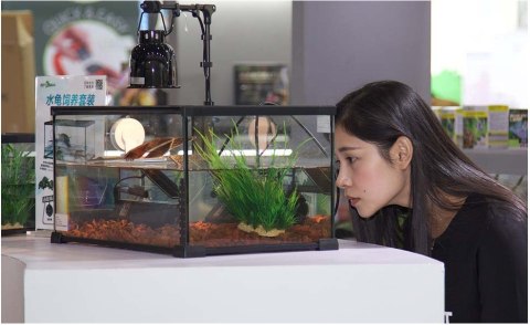 Repti-Zoo Simple Habitat - terrarium 31x31x20 Repti-Zoo Simple Habitat - terrarium 31x31x20