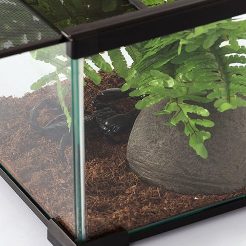 Repti-Zoo Terrarium AK 21x21x20 Repti-Zoo Terrarium AK 21x21x20