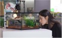 Repti-Zoo Terrarium AK 21x21x20