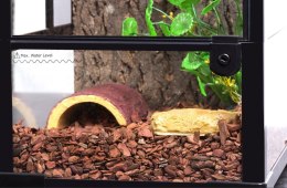 Repti-Zoo Terrarium RK NET 30x30x45cm