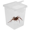 Terrario Insect Box High - plastikowe terrarium 9x9x11cm