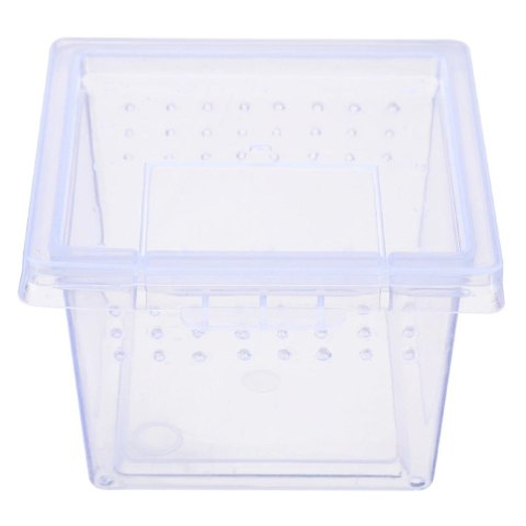 Terrario Insect Box Mini - terrarium dla owadów 6,5 x 6,5 x 4,5 cm Terrario Insect Box Mini - terrarium dla owadów 6,5 x 6,5 x 4,5 cm