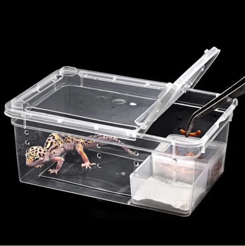 Terrario Terrarium Faunarium 26x18x13cm Terrario Terrarium Faunarium 26x18x13cm