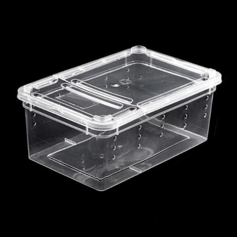 Terrario Terrarium Faunarium 33x22x15cm Terrario Terrarium Faunarium 33x22x15cm