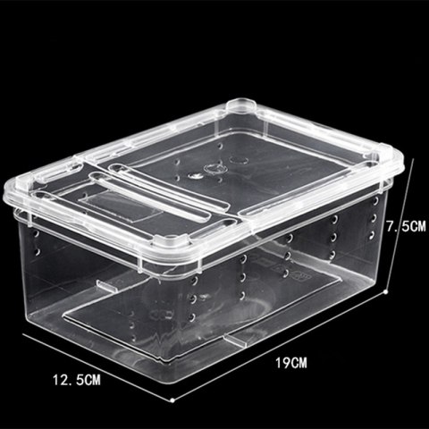 Terrario Terrarium Faunarium 33x22x15cm Terrario Terrarium Faunarium 33x22x15cm