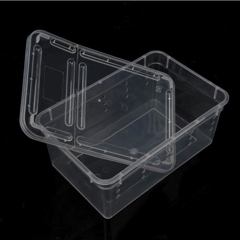 Terrario Terrarium Faunarium 33x22x15cm Terrario Terrarium Faunarium 33x22x15cm