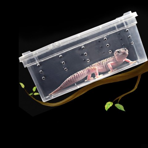 Terrario Terrarium Faunarium 33x22x15cm Terrario Terrarium Faunarium 33x22x15cm