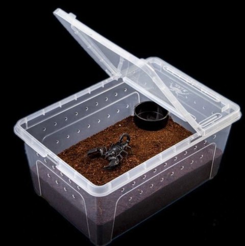 Terrario Terrarium Faunarium 33x22x15cm Terrario Terrarium Faunarium 33x22x15cm