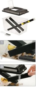 EXO TERRA Cricket Pen L Terrarium na karmówkę (30x20,5x19,5cm)