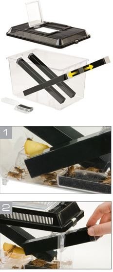 EXO TERRA Cricket Pen L Terrarium na karmówkę (30x20,5x19,5cm) EXO TERRA Cricket Pen L Terrarium na karmówkę (30x20,5x19,5cm)