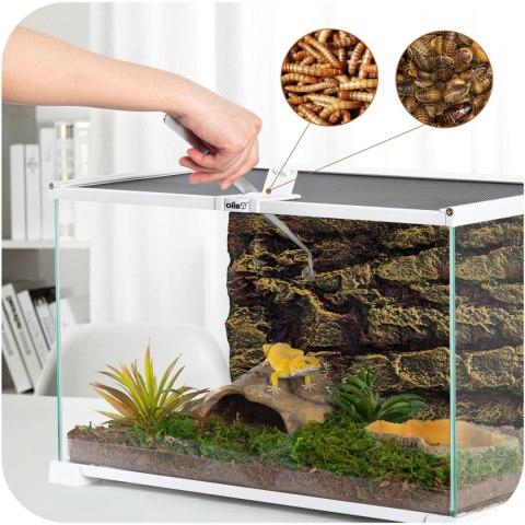 OiiBO Terrarium RAK08W - terrarium 50x30x25cm OiiBO Terrarium RAK08W - terrarium 50x30x25cm