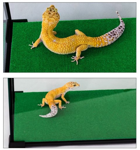 Repti-Zoo Carpet Mat - podłoże do terrarium 30x30cm Repti-Zoo Carpet Mat - podłoże do terrarium 30x30cm