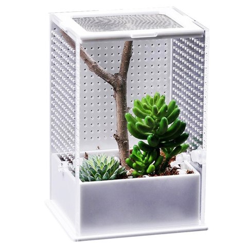 Repti-Zoo Mantis Box M - terrarium akrylowe dla modliszek Repti-Zoo Mantis Box M - terrarium akrylowe dla modliszek