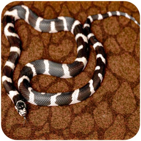 Resun Desert Carpet Mat - mata do terrarium 90x45cm Resun Desert Carpet Mat - mata do terrarium 90x45cm