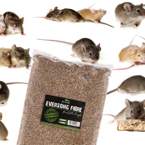 Terrario Eversong Fibre Powder 5l - mielone podłoże z słomy konopnej Terrario Eversong Fibre Powder 5l - mielone podłoże z słomy konopnej