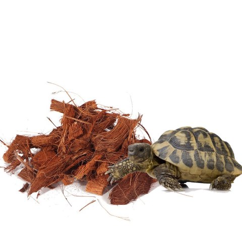 Terrario Mae Moei Rainforest 5l 450g - duże zrębki kokosa Terrario Mae Moei Rainforest 5l 450g - duże zrębki kokosa