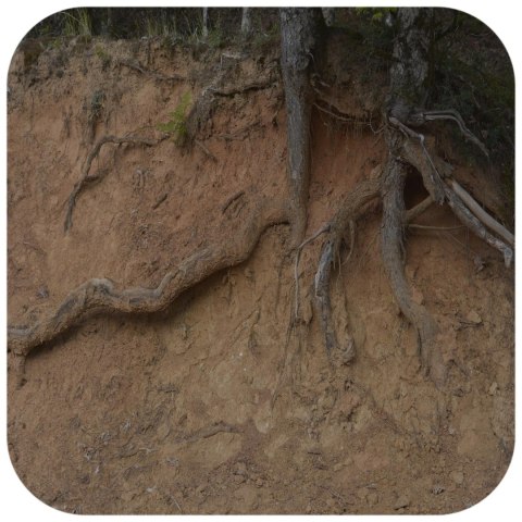 Terrario Monument Mud 1kg - mieszanka z gliną Terrario Monument Mud 1kg - mieszanka z gliną