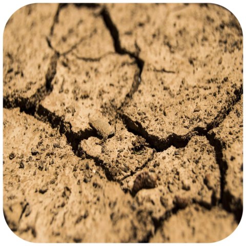 Terrario Monument Mud 1kg - mieszanka z gliną Terrario Monument Mud 1kg - mieszanka z gliną
