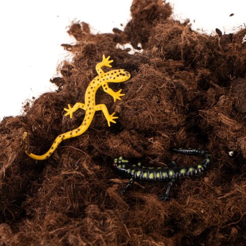 Terrario Paraguay Muds Fibres - torf włóknisty 5l Terrario Paraguay Muds Fibres - torf włóknisty 5l