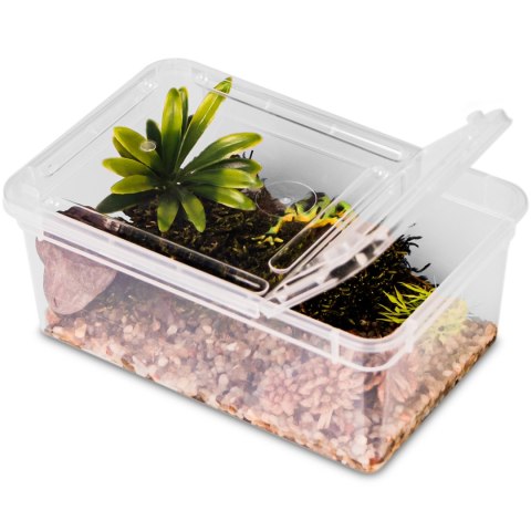 Terrario Reptiland 19x12x7,5cm - przeźroczyste terrarium faunarium Terrario Reptiland 19x12x7,5cm - przeźroczyste terrarium faunarium