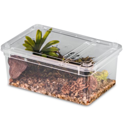 Terrario Reptiland 19x12x7,5cm - przeźroczyste terrarium faunarium Terrario Reptiland 19x12x7,5cm - przeźroczyste terrarium faunarium