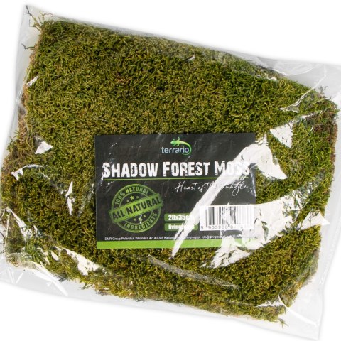 Terrario Shadow Forest Moss - mech naturalny 35x28cm Terrario Shadow Forest Moss - mech naturalny 35x28cm