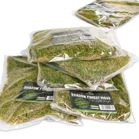Terrario Shadow Forest Moss - mech naturalny 35x28cm Terrario Shadow Forest Moss - mech naturalny 35x28cm