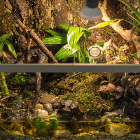 Terrario Shadow Forest Moss - mech naturalny 35x28cm Terrario Shadow Forest Moss - mech naturalny 35x28cm