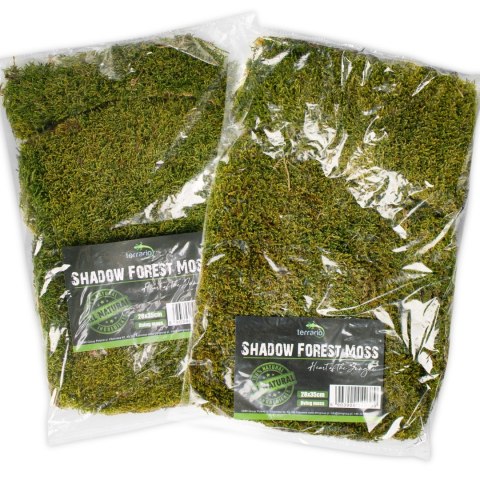 Terrario Shadow Forest Moss - mech naturalny 35x28cm Terrario Shadow Forest Moss - mech naturalny 35x28cm