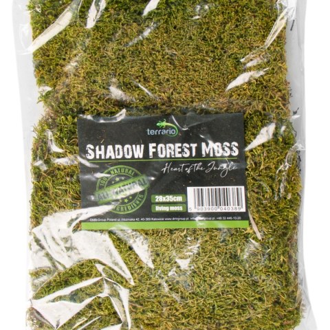 Terrario Shadow Forest Moss - mech naturalny 35x28cm Terrario Shadow Forest Moss - mech naturalny 35x28cm