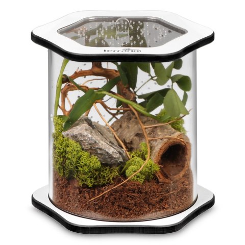 Terrario Spiders Tube Big150 - terrarium akrylowe Terrario Spiders Tube Big150 - terrarium akrylowe