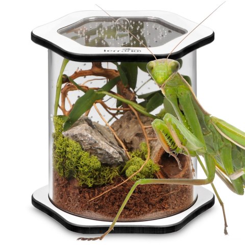 Terrario Spiders Tube Big150 - terrarium akrylowe Terrario Spiders Tube Big150 - terrarium akrylowe