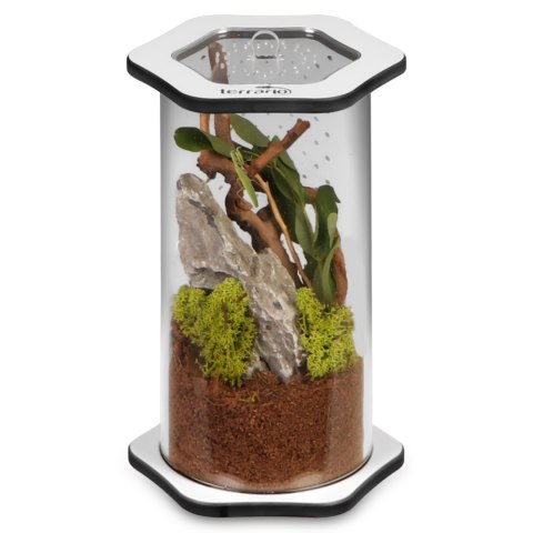 Terrario Spiders Tube Med200 - terrarium akrylowe Terrario Spiders Tube Med200 - terrarium akrylowe