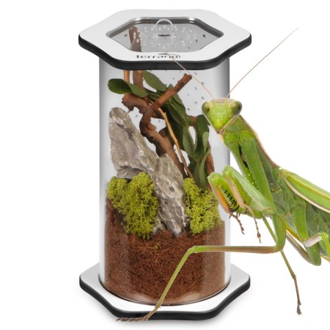 Terrario Spiders Tube Med200 - terrarium akrylowe Terrario Spiders Tube Med200 - terrarium akrylowe