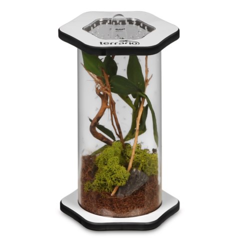 Terrario Spiders Tube Tall150 - terrarium akrylowe Terrario Spiders Tube Tall150 - terrarium akrylowe