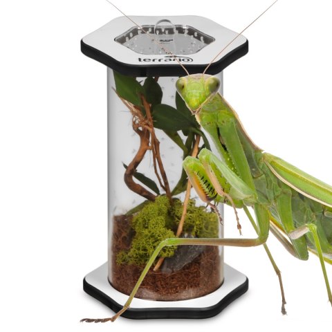 Terrario Spiders Tube Tall150 - terrarium akrylowe Terrario Spiders Tube Tall150 - terrarium akrylowe
