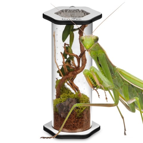 Terrario Spiders Tube Tall200 - terrarium akrylowe Terrario Spiders Tube Tall200 - terrarium akrylowe
