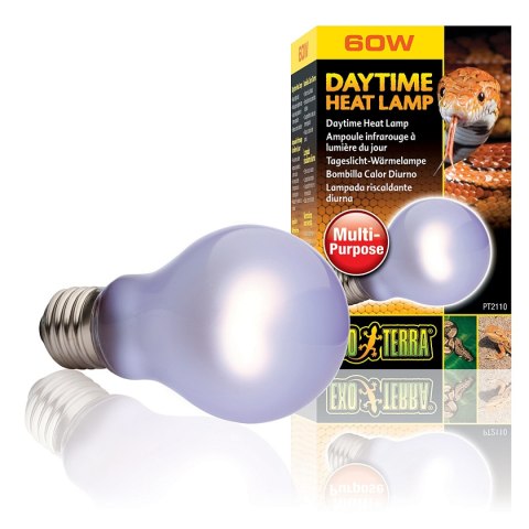 EXO TERRA Sun-Glo 60W - żarówka dzienna EXO TERRA Sun-Glo 60W - żarówka dzienna