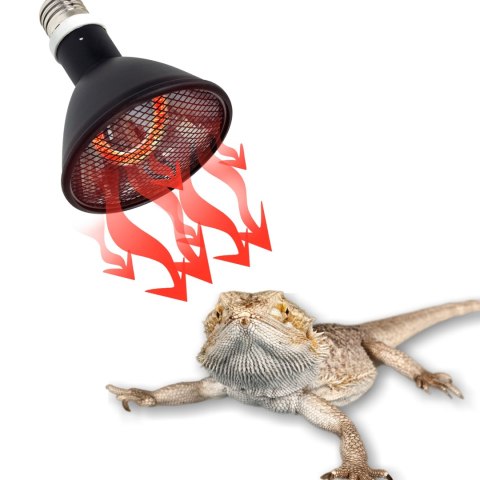 Repti-Zoo Deep Heater 100W - promiennik ciepła Repti-Zoo Deep Heater 100W - promiennik ciepła