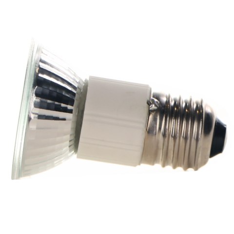 Repti-Zoo Mini Halogen Spot 35W - mały halogen grzewczy Repti-Zoo Mini Halogen Spot 35W - mały halogen grzewczy