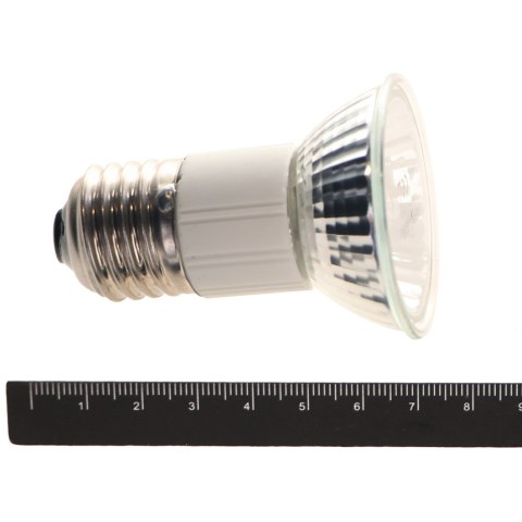 Repti-Zoo Mini Halogen Spot 35W - mały halogen grzewczy Repti-Zoo Mini Halogen Spot 35W - mały halogen grzewczy