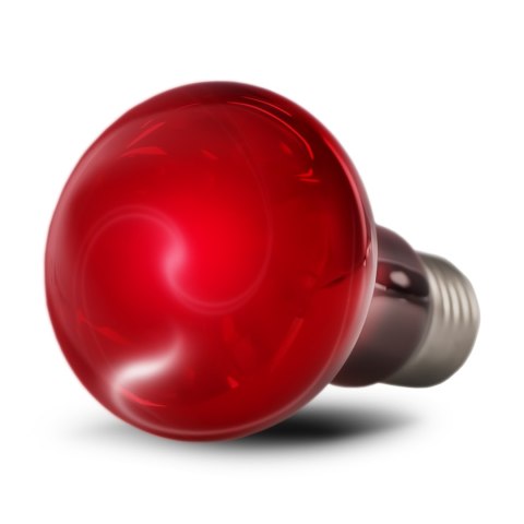 Resun Infrared Spot Lamp 75w - żarówka podczerwona Resun Infrared Spot Lamp 75w - żarówka podczerwona