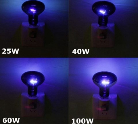 Super Reptile Black Moonlight 50W Super Reptile Black Moonlight 50W