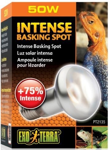 EXO TERRA Intense Basking Spot 50W (żarówka grzewcza) EXO TERRA Intense Basking Spot 50W (żarówka grzewcza)