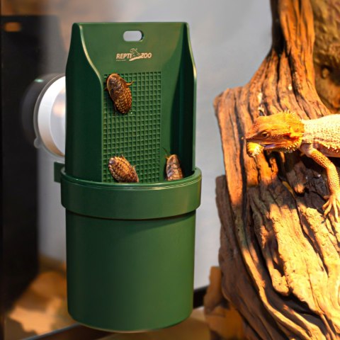 Repti-Zoo Arboreal Feeding Dish - wiszący karmnik dla gadów Repti-Zoo Arboreal Feeding Dish - wiszący karmnik dla gadów