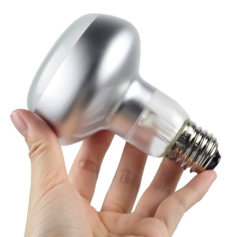 Repti-Zoo Flat Type Heating Bulb 50W - żarówka grzewcza płaska Repti-Zoo Flat Type Heating Bulb 50W - żarówka grzewcza płaska